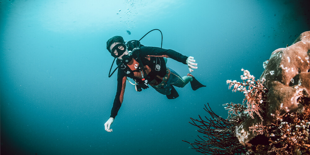 Discovering a whole new world underwater full of life and beauty - photo by Mick Taylor