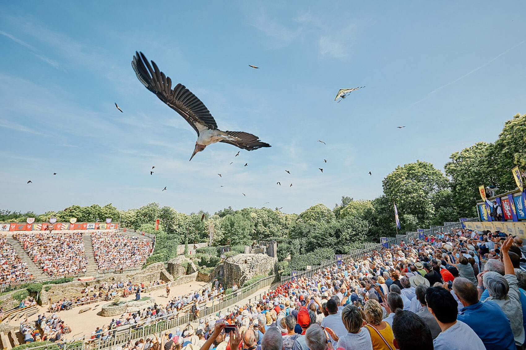 Eagle and bird at theme park at Puy du Fou France