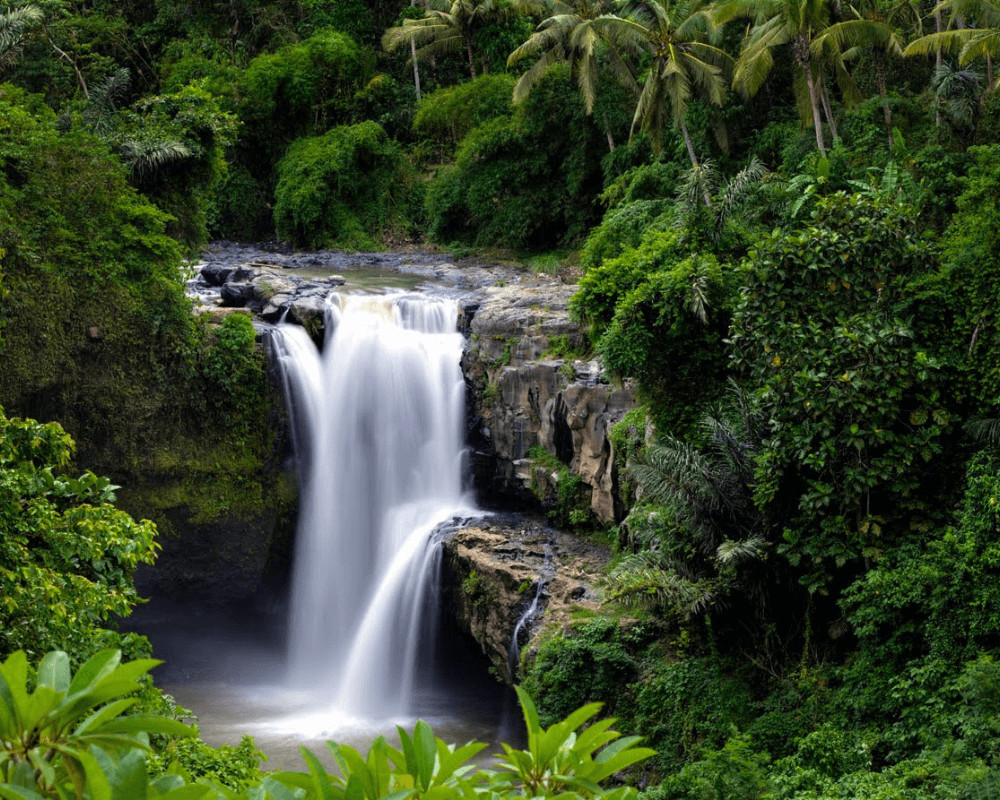 Bali Vacation Travel Guide 2025