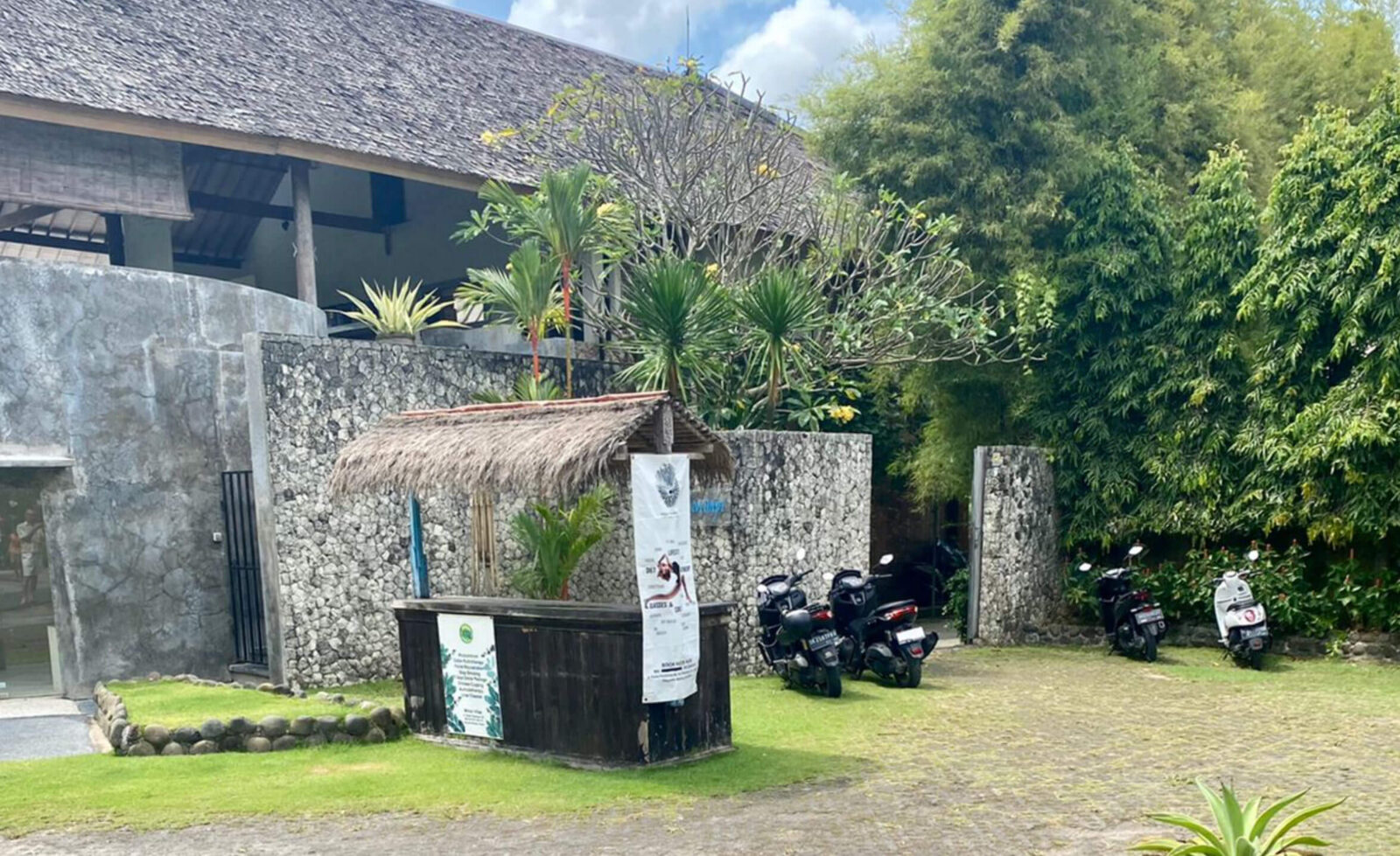 detox room canggu colon hydrotheary acupuncture chines cupping