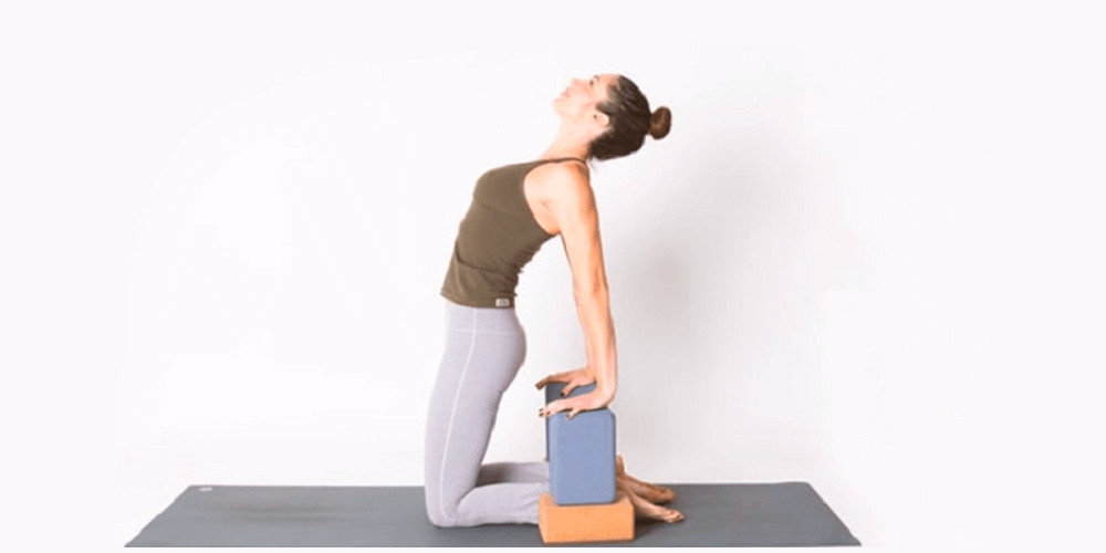 Camel pose - Yoga block exercise Yoga block exercise yoga block exercises
how to use yoga blocks 
yoga blocks use  straps
yoga block stretches
restorative yoga props 
restorative yoga poses with props
yoga exercises 