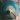 gong-gongs-gong instrument-gong sound