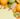 raw-food-diet-1