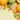 raw-food-diet-1