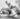 ryt 200 women practicing yoga indoor
