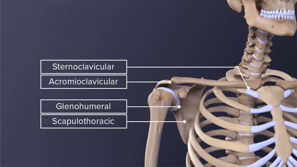 shoulder alignment, what is the proper way?
