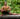 yoga photography - 10 photographers inspired by yoga
