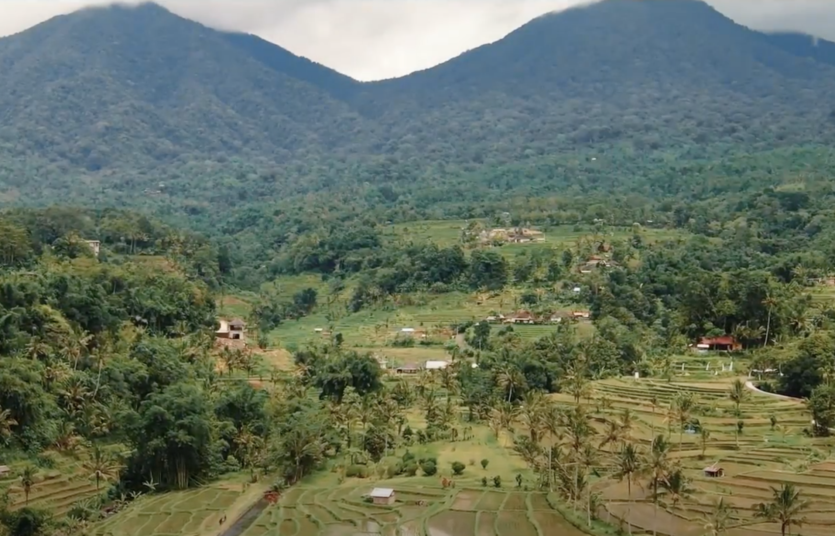 the call of bali - a 6-day retreat of inner and outer discovery