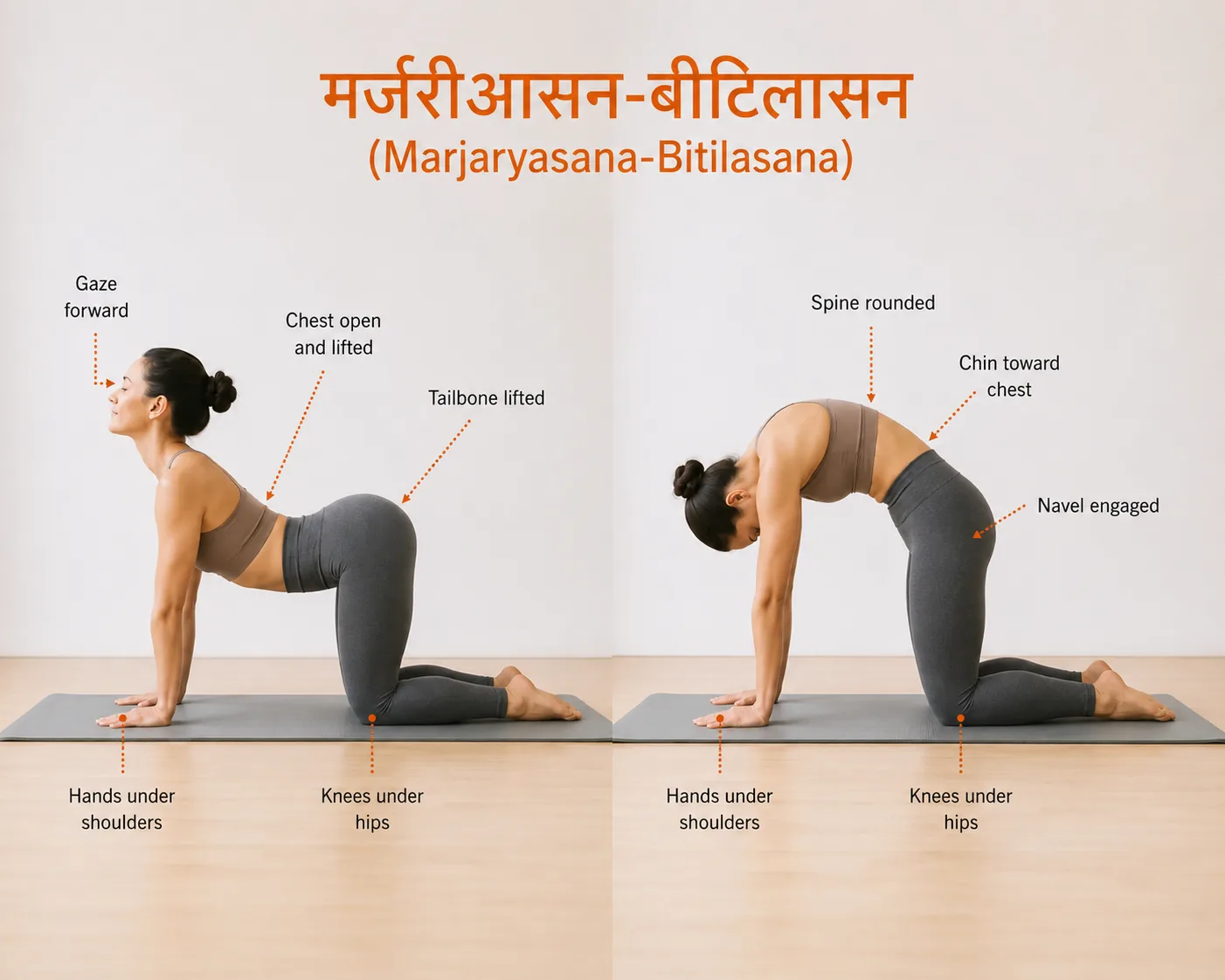 Cat-Cow Stretch (Marjaryasana-Bitilasana) is one of the most commonly recommended yoga exercises for lower back pain. By moving the spine through a controlled range of motion, this gentle stretch may help reduce back stiffness, improve spinal mobility, support posture, and prepare the body for a safe yoga practice focused on back pain relief.