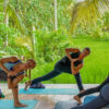 Women doing a yoga twisting pose on mats in a peaceful, lush natural environment.
