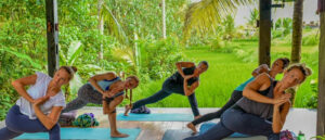 Women doing a yoga twisting pose on mats in a peaceful, lush natural environment.