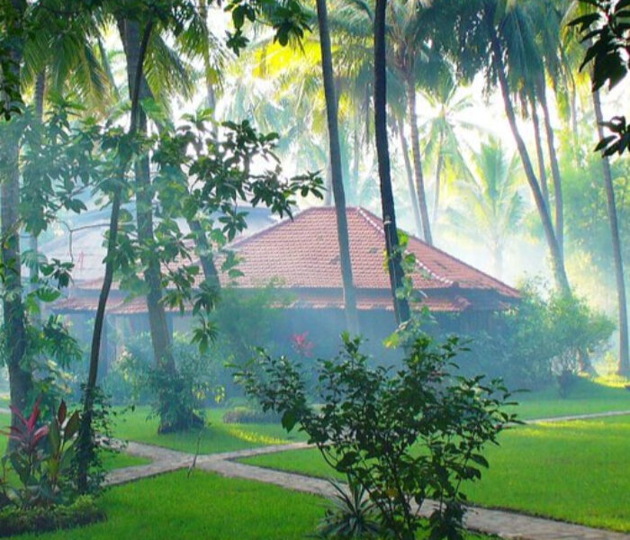 Yoga retreat center nestled in the jungle with palm trees and serene pathways.