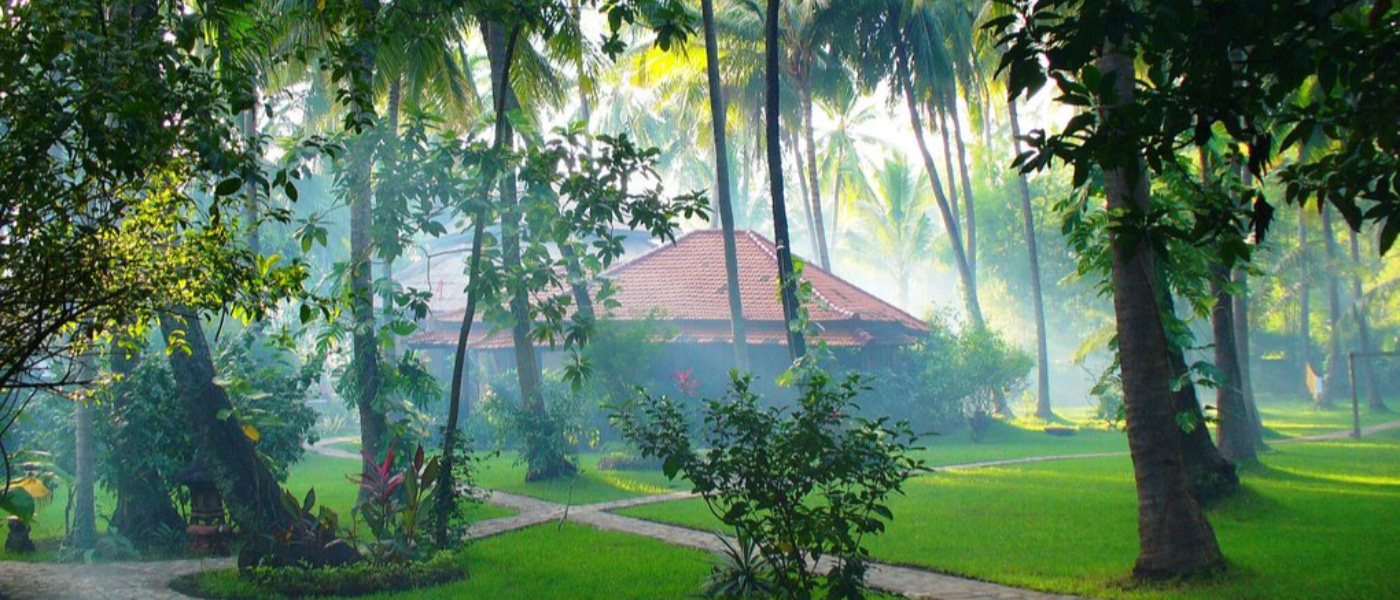 Yoga retreat center nestled in the jungle with palm trees and serene pathways.