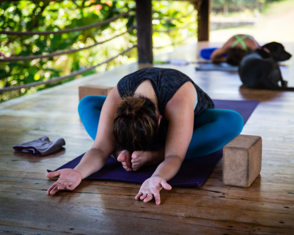 yoga student in a calm, introspective pose on a wooden floor surrounded by greenery.