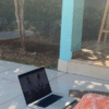 Sacred Paths Yoga: 200hr Online Yoga Teacher Training Review
