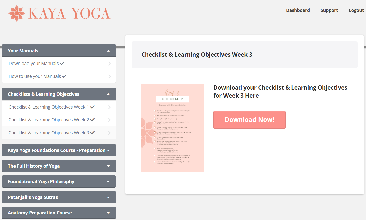 Kaya yoga therapy 200-hour online ytt review: My honest experience & what you should know