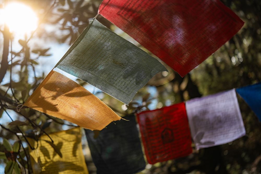Colorful Buddhist prayer flags hanging between trees in Bhutan, softly lit by sunlight and gently moving in the wind.