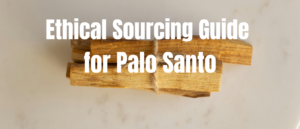 Ethical sourcing guide for palo Santo: How to choose responsibly