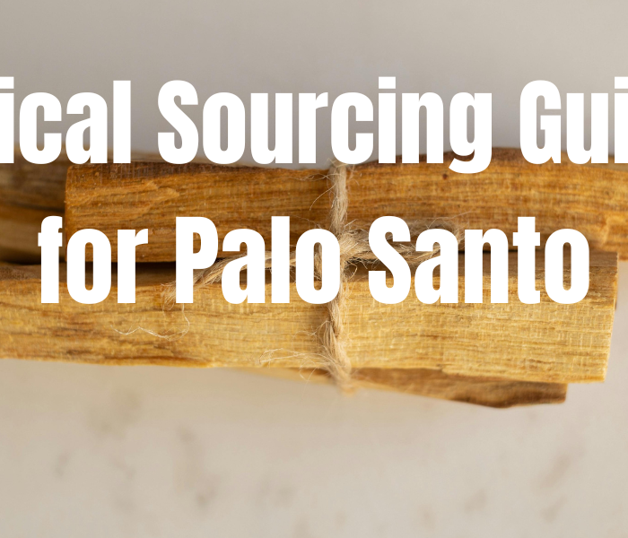 Ethical sourcing guide for palo Santo: How to choose responsibly