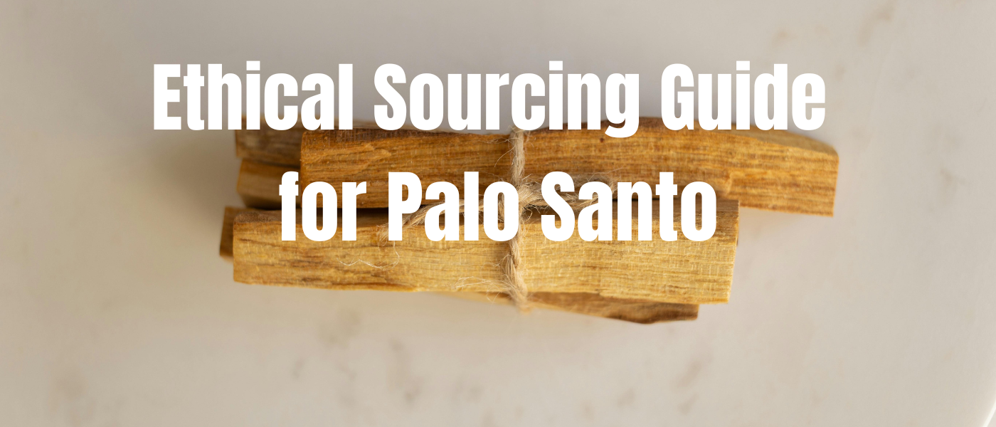 Ethical sourcing guide for palo Santo: How to choose responsibly