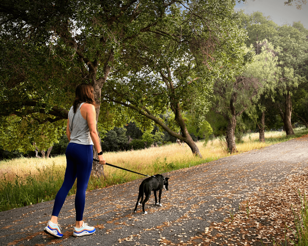 Woman walking dog outdoors wearing Definite leggings, showing comfort, durability, and everyday performance