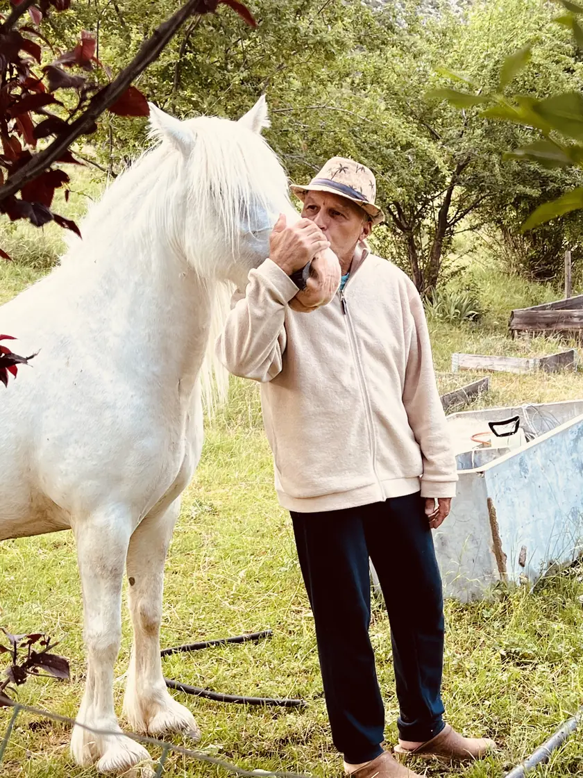 Un homme caresse affectueusement un cheval blanc dans les espaces naturels de la Ferme Saint Pierre, à Bargème. Cette scène illustre la relation paisible entre les visiteurs, les propriétaires et les animaux du domaine.