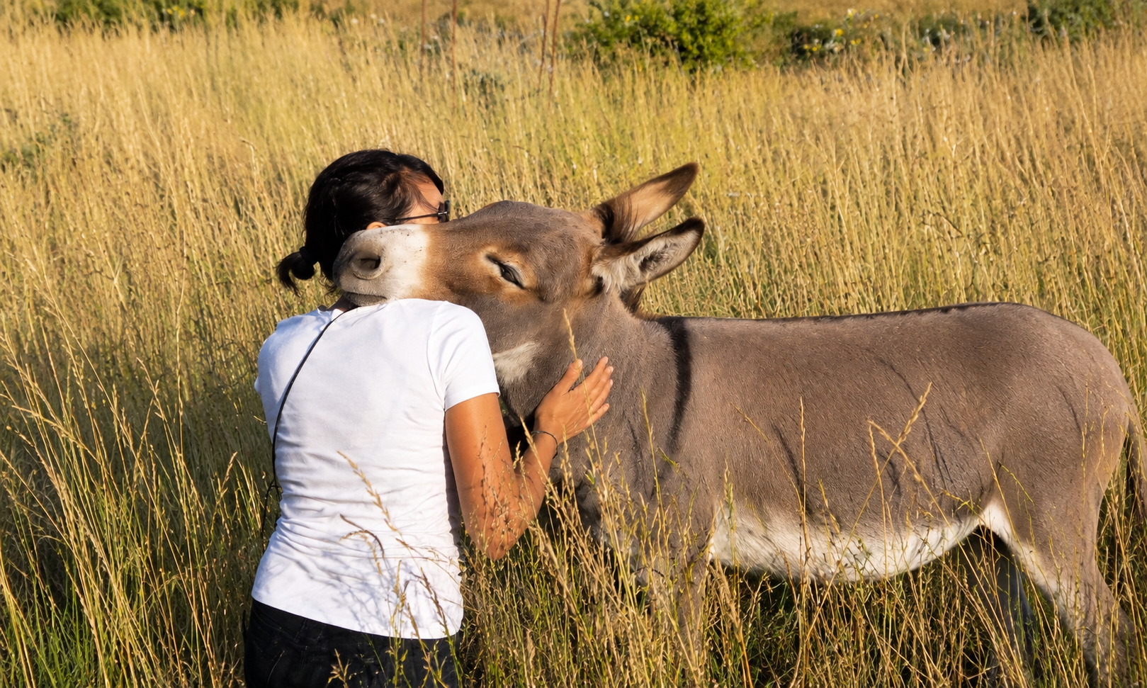 Séjour nature et retraite bien-être en Provence : notre avis sur la Ferme Saint Pierre